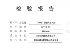 燃?xì)馄筋^爐檢驗報告